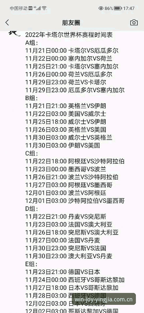 世界杯观赛签证困境深度解析：如何在盈嘉体育平台掌握赛事动态与实用操作教程
